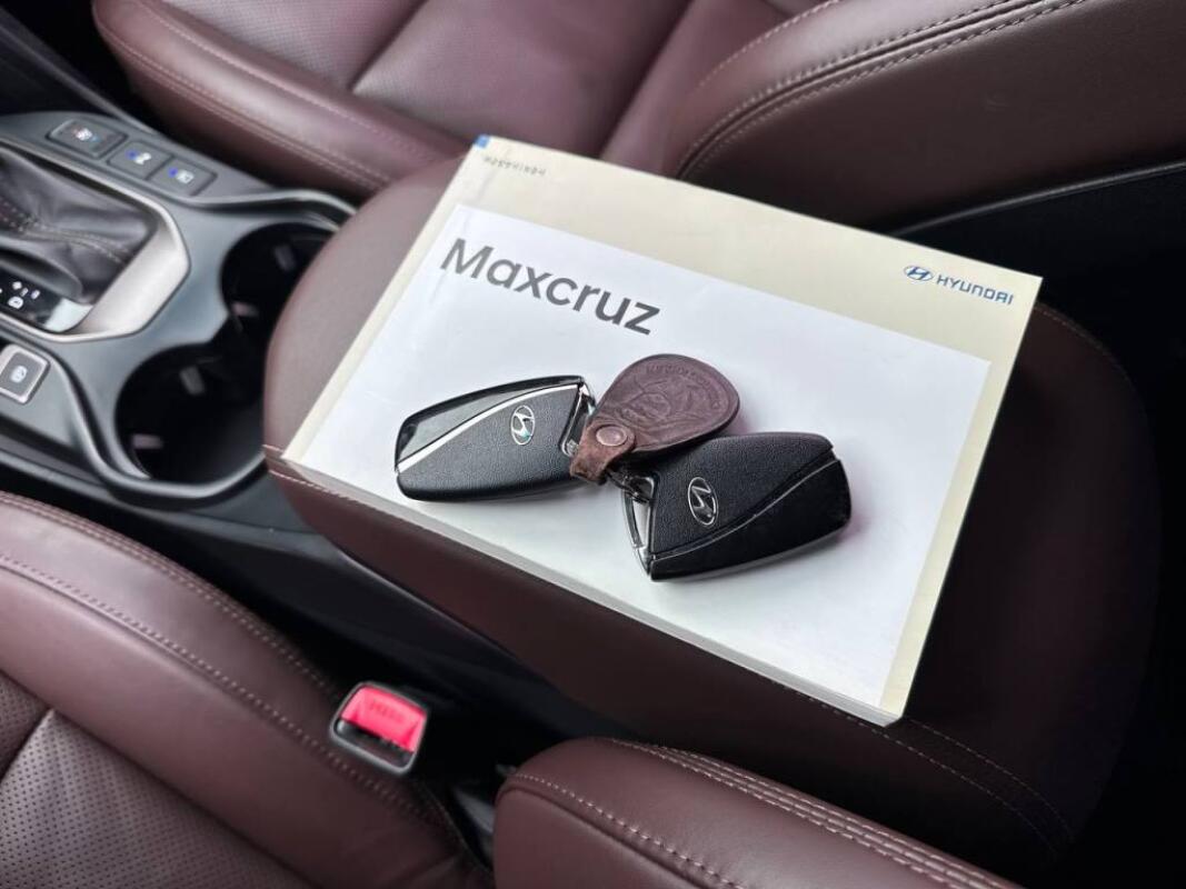 Hyundai Maxcruz (2017)