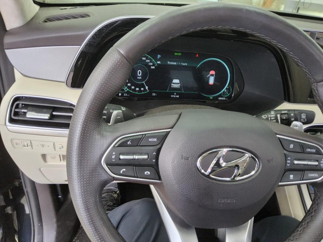 Hyundai Palisade (2022)