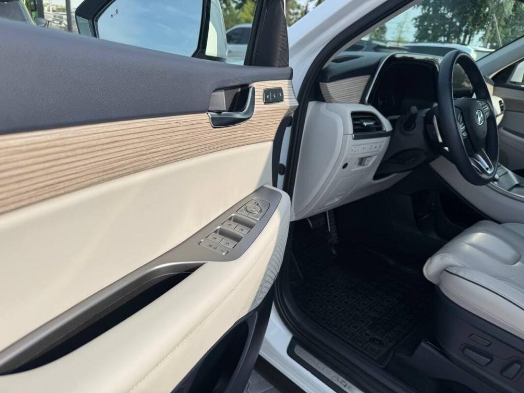 Hyundai Palisade (2019)